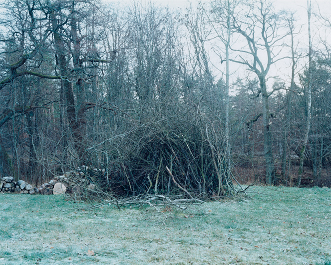 http://www.ulvelius.se/files/gimgs/11_oblivion11.jpg