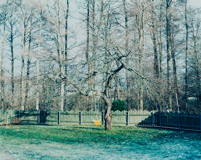 http://www.ulvelius.se/files/gimgs/11_oblivion51.jpg