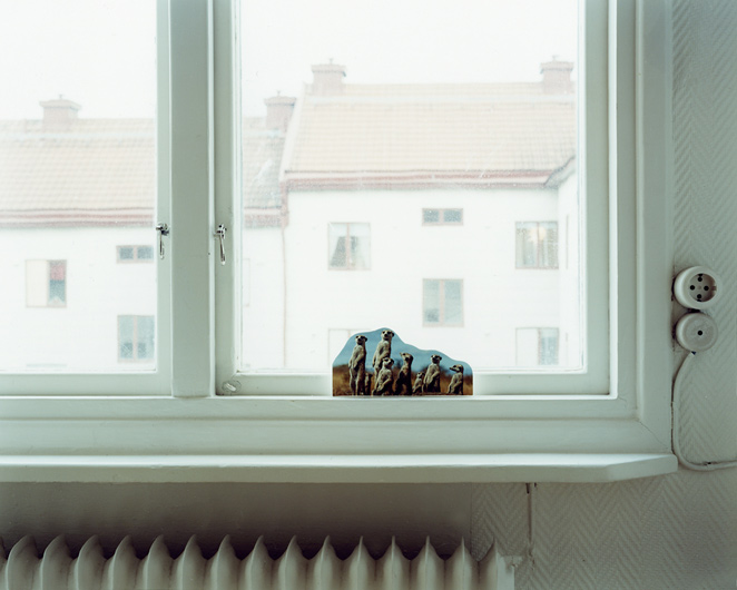http://www.ulvelius.se/files/gimgs/11_oblivion9.jpg
